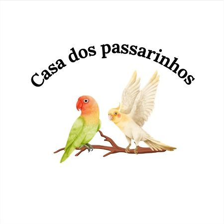 Casa Dos Passarinho'S , Lagos Bagian luar foto